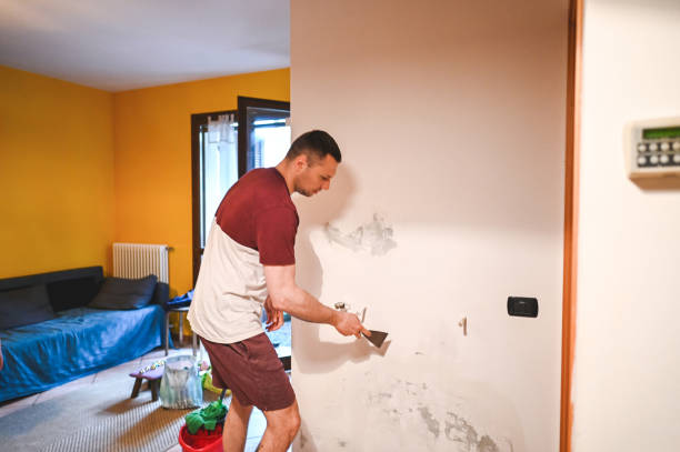 Best Certified Mold Removal  in Maple Lake, MN